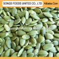 Chinese Hot Sale Different Types of Seeds